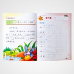 New CLPS Workbook 2A