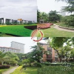 Donghua University